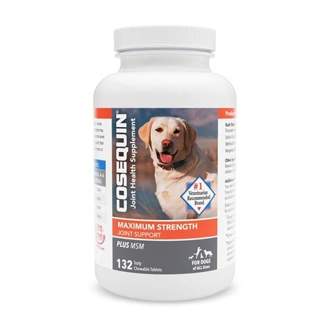 The Best Supplements for Pet Joint Health (And How They Work