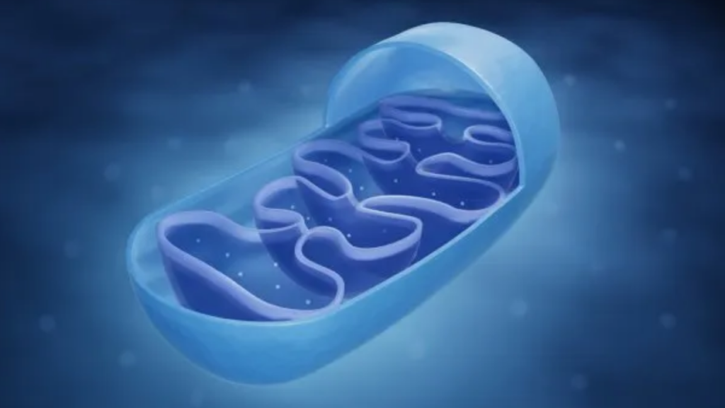 微信图片 20250116160739