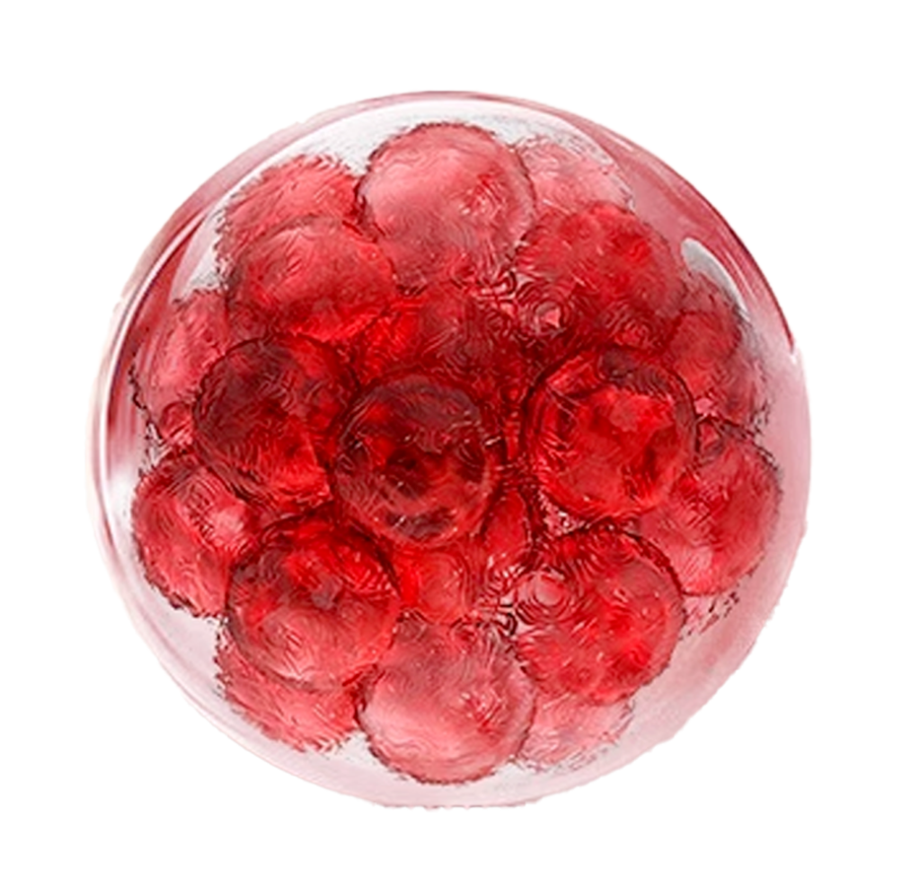 虾青素培养皿 1